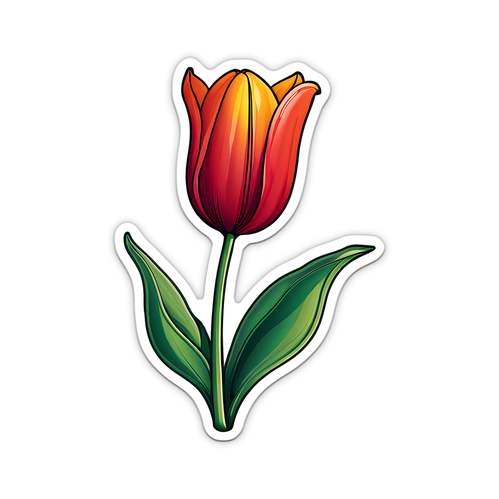 Tulip