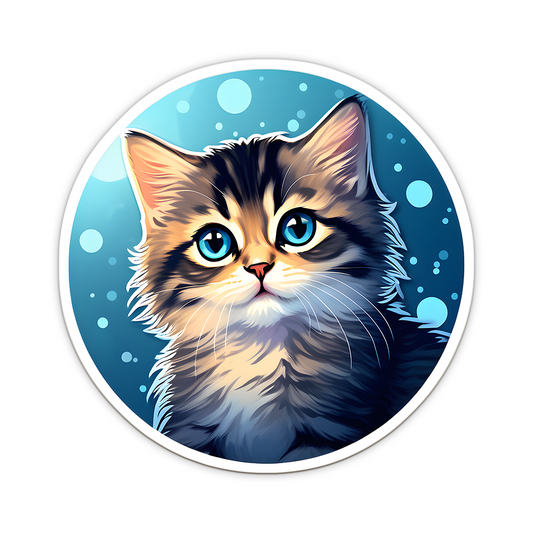 Kitten