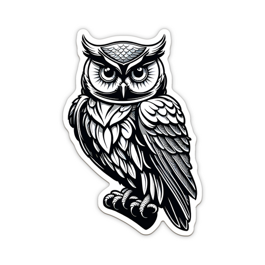 Owl